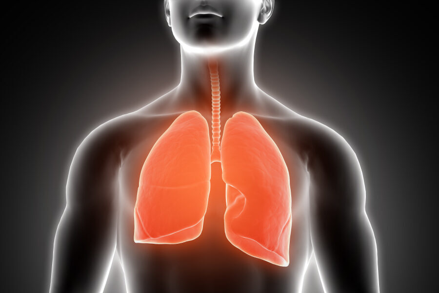Ecografia polmonare